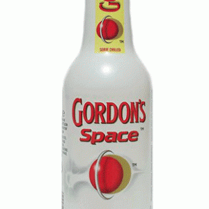 GORDON'S SPACE 275ml-0
